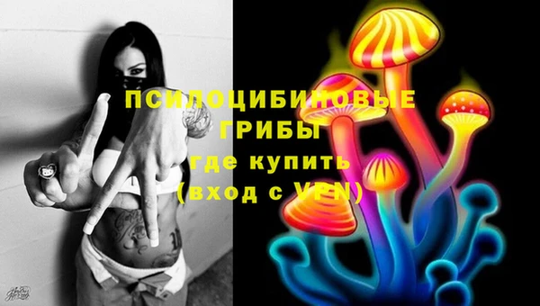 сатива Вяземский