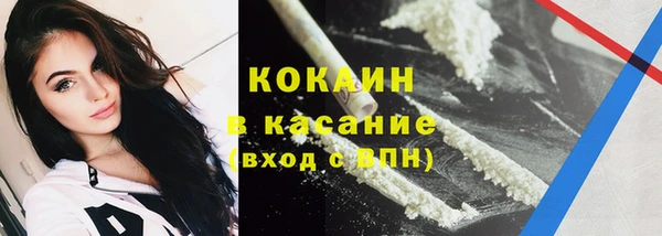 сатива Вяземский