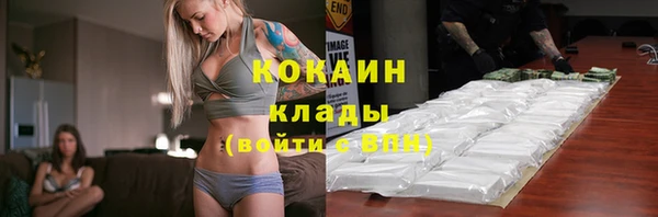 сатива Вяземский