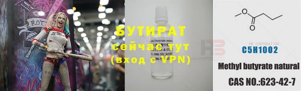 сатива Вяземский