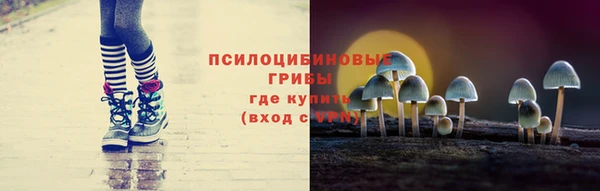 молекула духа Вязьма