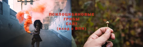 сатива Вяземский
