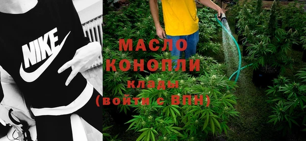 молекула духа Вязьма