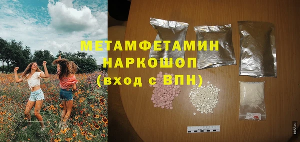 сатива Вяземский