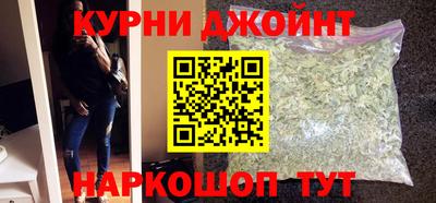 индика Гусь-Хрустальный