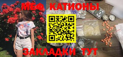индика Гусь-Хрустальный