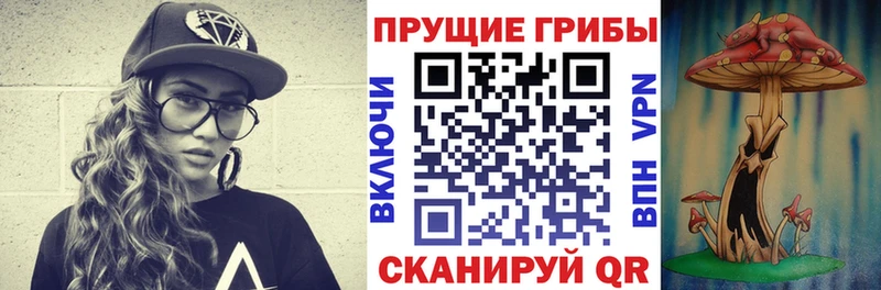 закладка  Москва  Галлюциногенные грибы мицелий 