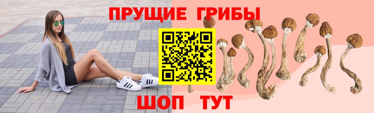 Псилоцибиновые грибы мухоморы  Вход с VPN  Галлюциногенные грибы Magic Shrooms  Москва 